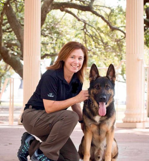 certified service dog training